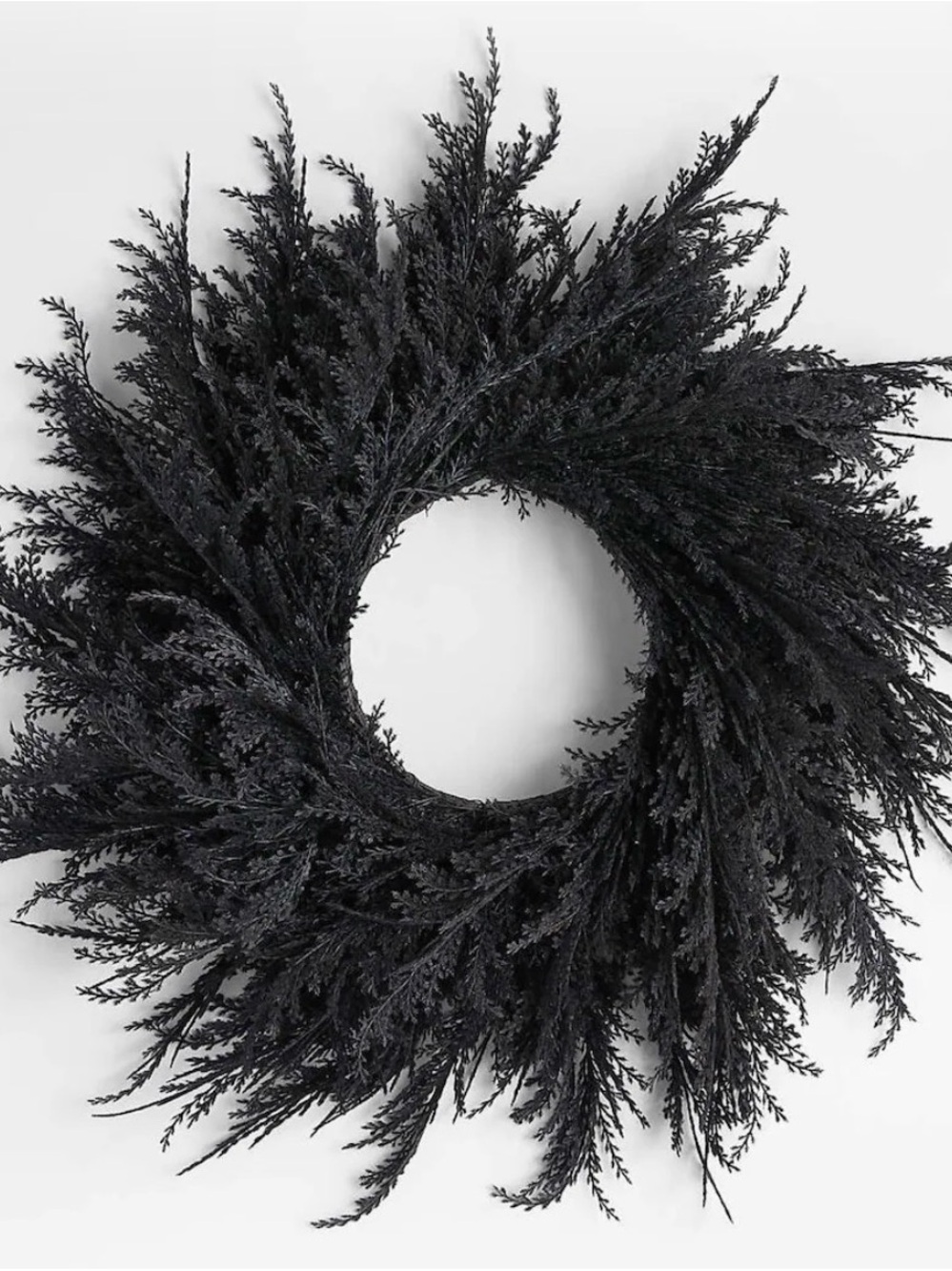 Crate&Barrel ‘Spooky Black Wreath’